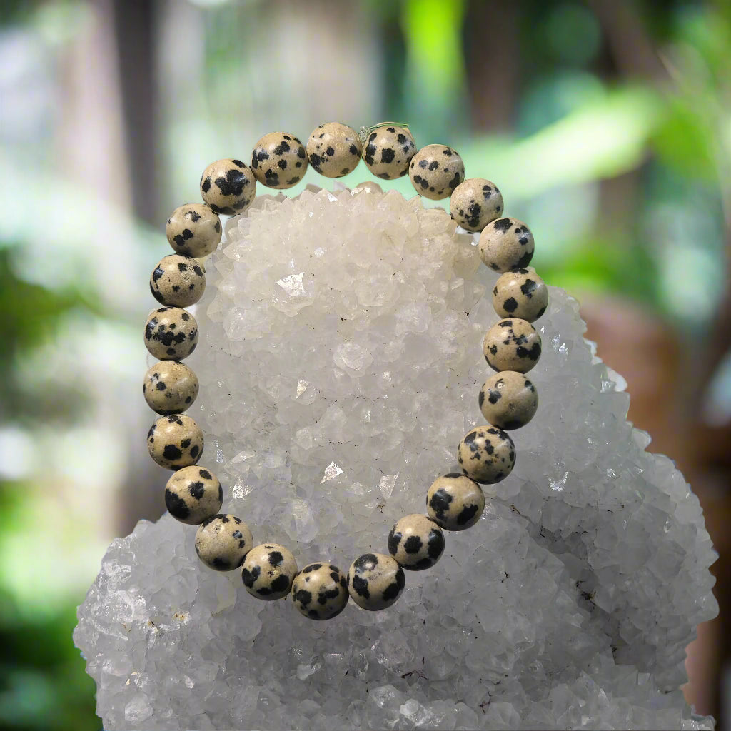 Jasper Dalmatian Bracelet – Joy, Protection & Inner Child Healing